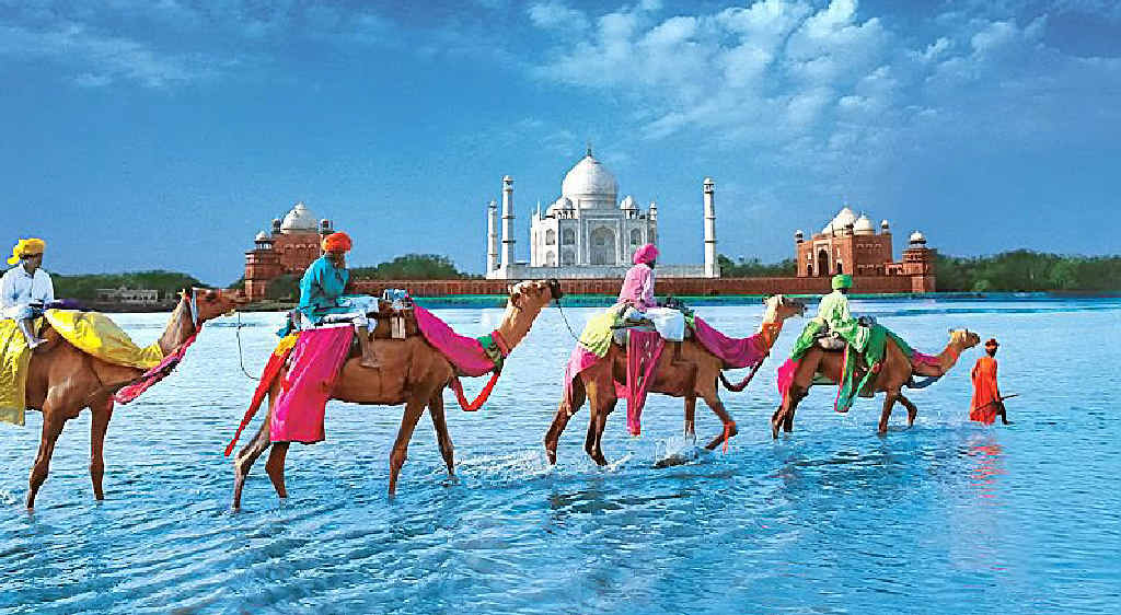 Don't miss out on the new 13-day Colours of South India tour. Don't miss out on the new 13-day Colours of South India tour.